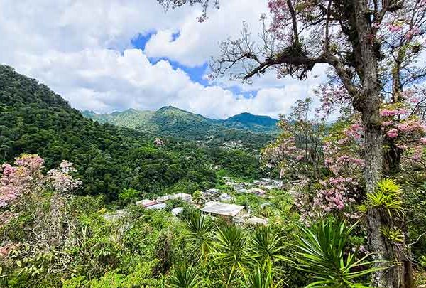 Agroturismo Puero Rico