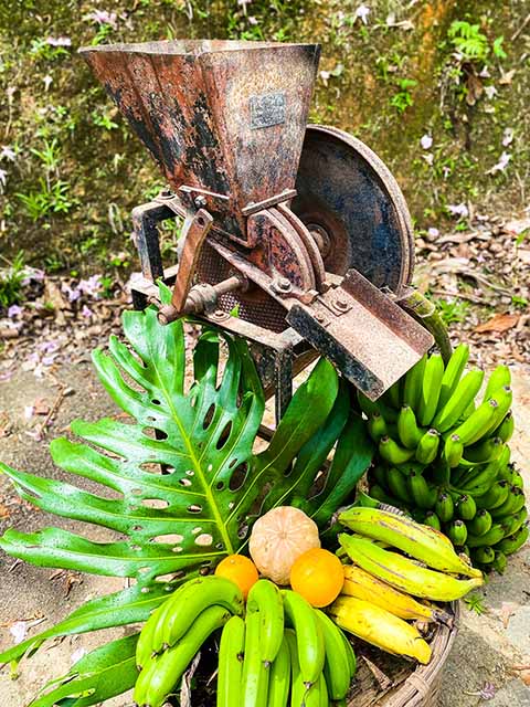 Agroturismo Puerto Rico
